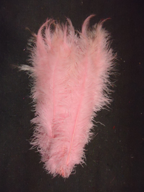 Ostrich Feather Plume 18-24 INCH PINK